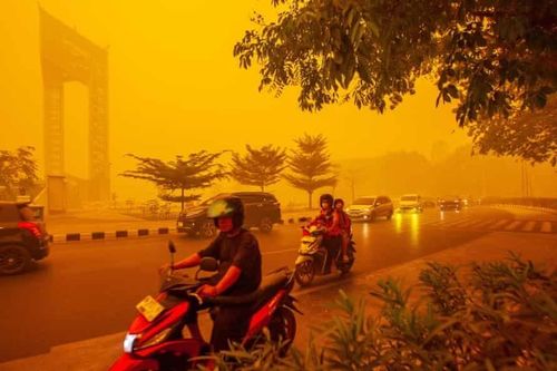 Cháy rừng tại Indonesia thiêu rụi gần 2 triệu ha đất, khói mù lan khắp khu vực