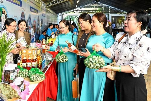 An Giang hỗ trợ phụ nữ phát triển kinh tế tập thể bền vững