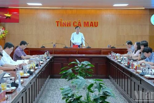 Cà Mau siết chất lượng, tăng tốc số hóa dữ liệu