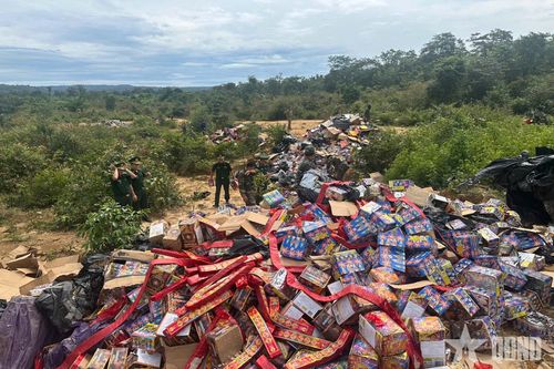 Bộ đội Biên phòng triệt phá đường dây mua bán, tàng trữ, vận chuyển trái phép 30 tấn pháo tại biên giới Việt Nam - Lào
