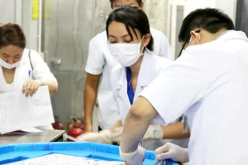 Thực thi Luật Phát triển đô thị: Mở cơ chế để người bệnh tiếp cận thuốc hiếm