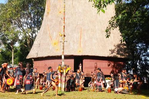 Gia Lai công bố chuỗi sự kiện Festival cồng chiêng, tuần lễ hoa dã quỳ