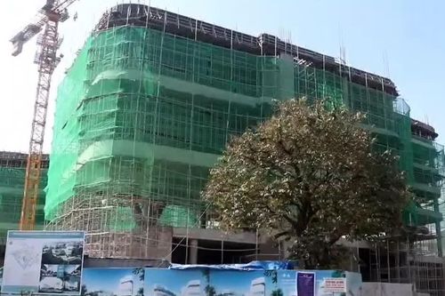 Tuyên Quang: Sập sàn bê tông dự án Rạp Tháng 8 làm 1 người tử vong