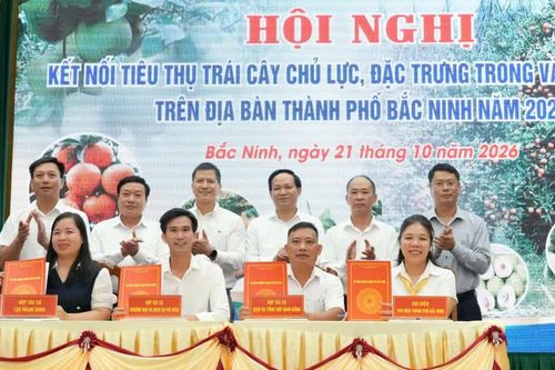 Bắc Ninh kết nối tiêu thụ hơn 118.500 tấn trái cây chủ lực