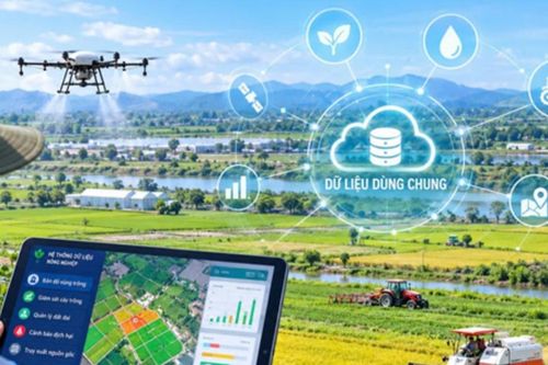 Khơi thông nguồn lực phát triển nông nghiệp từ dữ liệu dùng chung