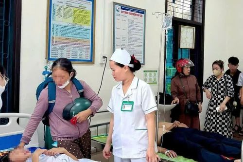 27 học sinh nhập viện do ong tấn công