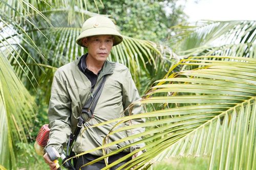 Lối về xanh mướt của người đàn ông lầm lỡ