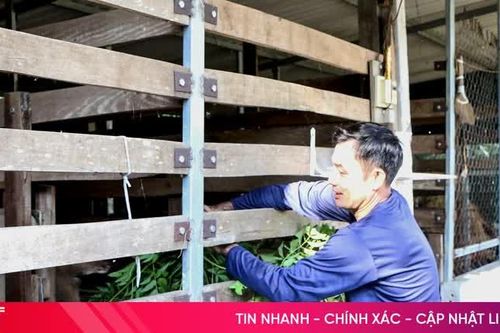 Đa dạng mô hình, tạo sinh kế bền vững cho người dân Đồng Tiến