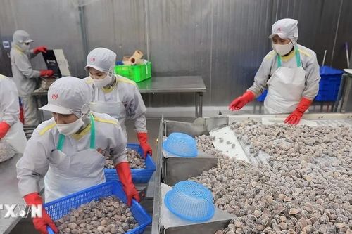 Giá trị nhập khẩu thủy sản của Singapore từ Việt Nam tăng mạnh