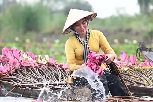 Ngỡ ngàng trước vẻ đẹp mùa nước nổi ở miền Tây Nam Bộ