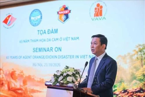Thúc đẩy hợp tác quốc tế hỗ trợ nạn nhân da cam