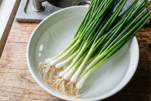 Mẹo bảo quản hành lá tươi trong tủ lạnh cả tháng, không lo héo úa