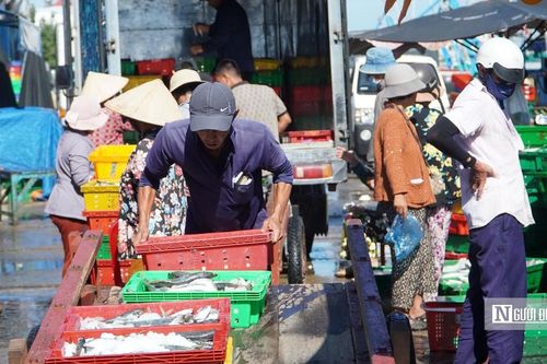Nghề lưới vây ở Lâm Đồng: Trúng đàn cá, cả tàu phấn khởi