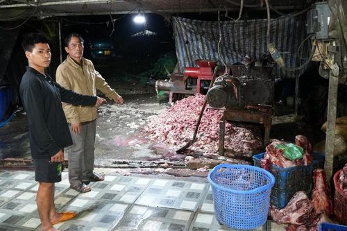 Triệt phá đường dây đưa 400 tấn thịt heo bệnh ra thị trường, thu lợi 10 tỷ đồng