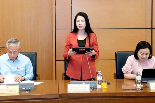 Đại biểu Trần Lan Phương: Thiếu dữ liệu tập trung sẽ khó đánh giá bình đẳng giới