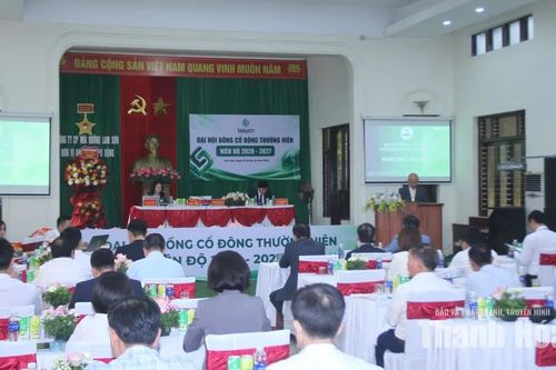 LASUCO đặt mục tiêu doanh thu 2.655 tỷ đồng trong niên độ 2026-2027