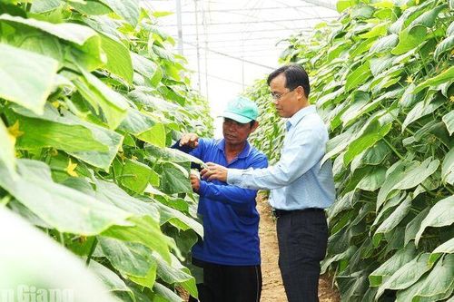 An Giang khơi dậy tinh thần dám nghĩ, dám làm, dám chịu trách nhiệm