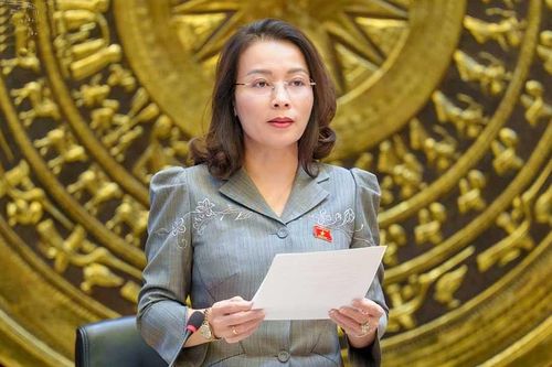 Đoàn đại biểu Quốc hội Thành phố Bắc Ninh góp ý nhiều dự án luật