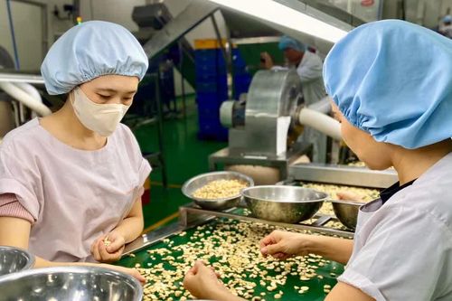 Gia Lai thành lập Tổ công tác tháo gỡ vướng mắc các dự án đầu tư ngoài ngân sách