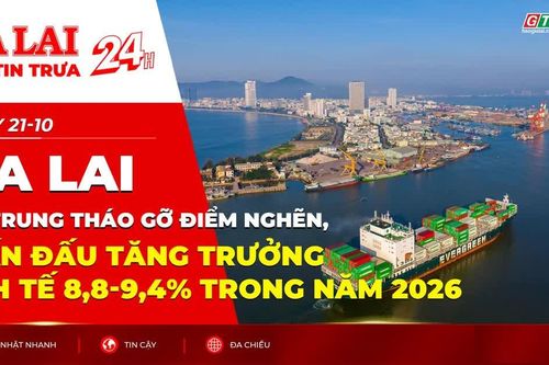 Điểm tin trưa: Gia Lai tập trung tháo gỡ điểm nghẽn, phấn đấu tăng trưởng kinh tế 8,8-9,4% trong năm 2026