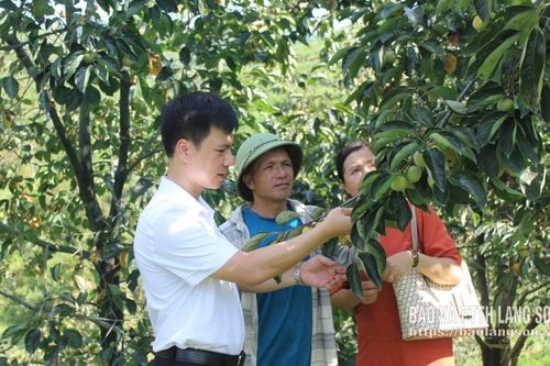 Phường Kỳ Lừa: Để người dân tiếp cận chính sách