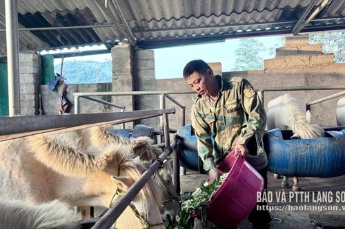 “Bạch mã” mở hướng phát triển kinh tế ở Điềm He