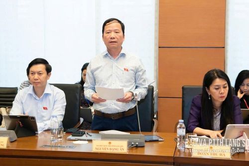 Đoàn đại biểu Quốc hội tỉnh tham gia thảo luận ở tổ về một số dự án luật