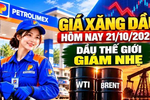 Giá xăng dầu hôm nay 21/10: Dầu thế giới giảm nhẹ trước kỳ điều hành 22/10