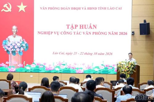 Tập huấn nghiệp vụ công tác văn phòng năm 2026