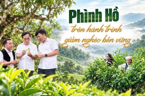 Phình Hồ trên hành trình giảm nghèo bền vững
