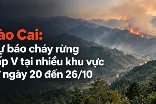 Lào Cai: Dự báo cháy rừng cấp V tại nhiều khu vực từ ngày 20 đến 26/10