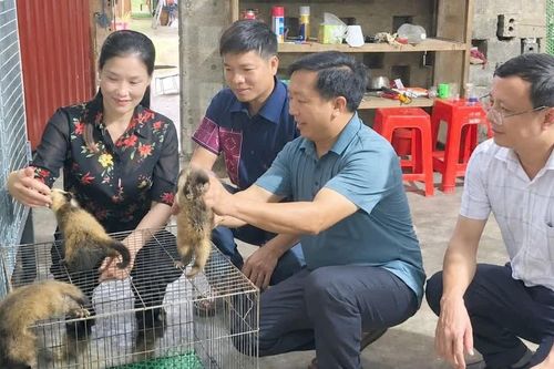 Đảng viên đi trước, Suối Bu đổi thay