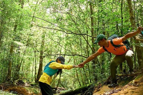 Bước chân người dẫn đường