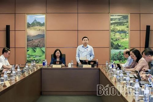 Đại biểu Quốc hội tỉnh thảo luận các dự án luật về hiến, lấy, ghép mô, bộ phận cơ thể người và phòng, chống tác hại của thuốc lá