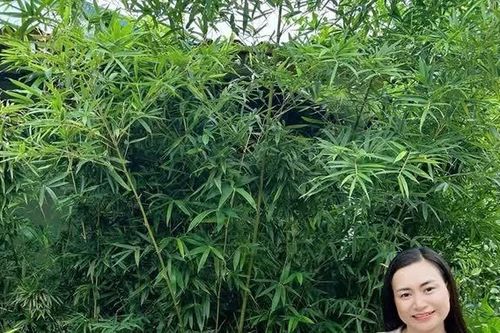 Điểm sáng phát triển kinh tế nông thôn