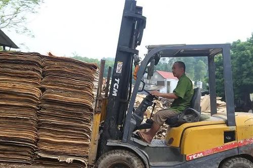 Nghề chế biến gỗ ở Tây Cốc