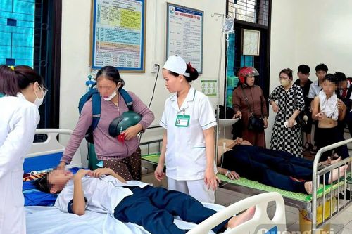 Bị ong đốt, hàng chục học sinh phải nhập viện