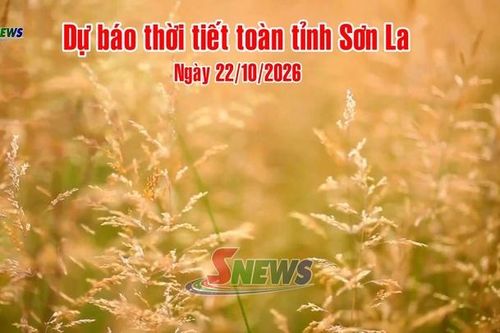 Dự báo thời tiết toàn tỉnh Sơn La ngày 22/10/2026