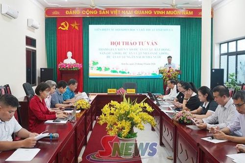 Hội thảo tư vấn tham gia đóng góp ý kiến vào các dự thảo luật