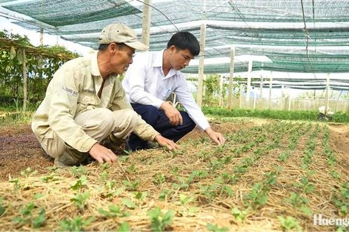 Tín dụng chính sách đồng hành cùng đồng bào dân tộc thiểu số
