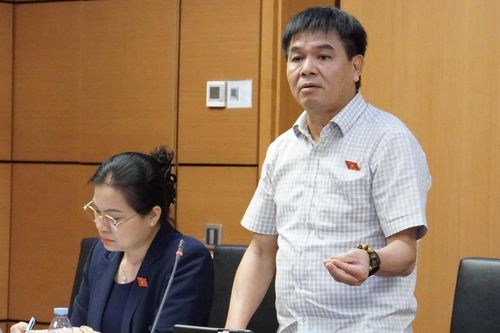 Đại biểu băn khoăn quy định tài xế xe công nghệ, bán hàng online tham gia BHXH bắt buộc