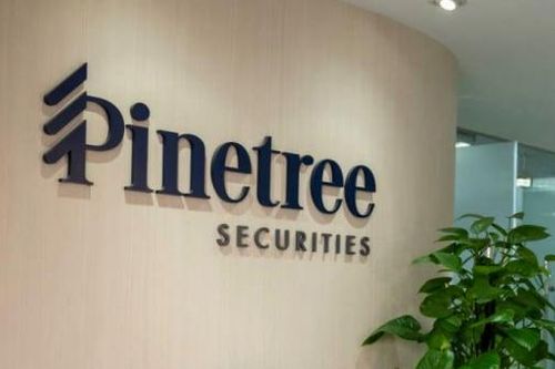 Lợi nhuận sau thuế của Chứng khoán Pinetree giảm 28%, dư nợ margin 2.500 tỷ đồng