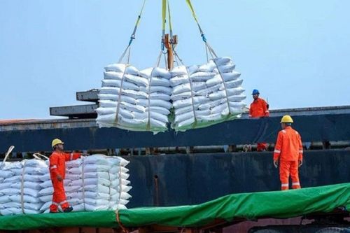 Campuchia lần đầu xuất khẩu hơn một triệu tấn gạo trong một năm