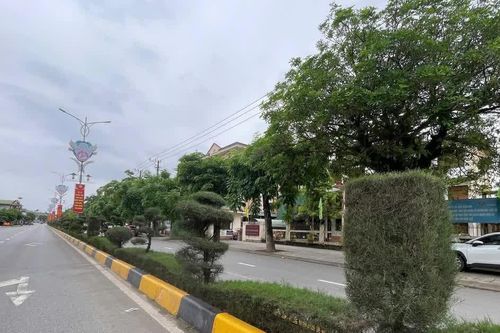 Chưa được cấp kinh phí, các đơn vị dịch vụ công vẫn phải hoạt động