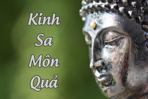 Từ quả Sa môn đến chiến lược đào tạo tăng tài trong giáo dục Phật giáo