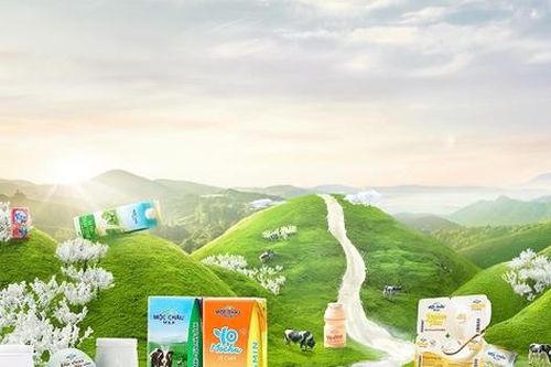 Mộc Châu Milk (MCM) báo lãi trước thuế 9 tháng vượt 234 tỷ đồng, nắm giữ hơn 1.400 tỷ đồng tiền mặt