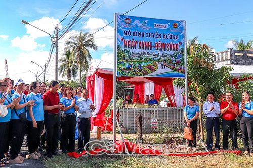 Ra mắt tuyến đường 'Ngày xanh - đêm sáng' tại phường Tân Thành