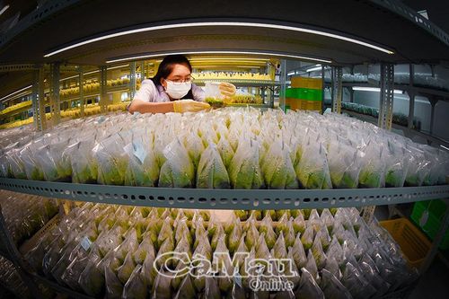 Giữ truyền thống, bắt nhịp thời đại