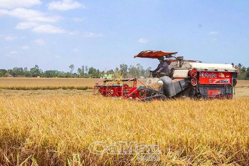 Nông nghiệp sinh thái hướng đến tương lai xanh