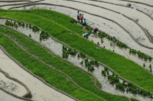 Bài 3. Đo đúng nghèo, giám sát chặt để đồng vốn đến đúng người